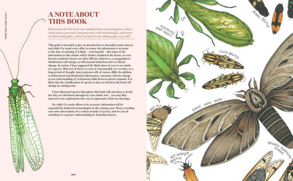 Book - 100 Australian Butterflies, Bees, Beetles and Bugs - Georgia Angus