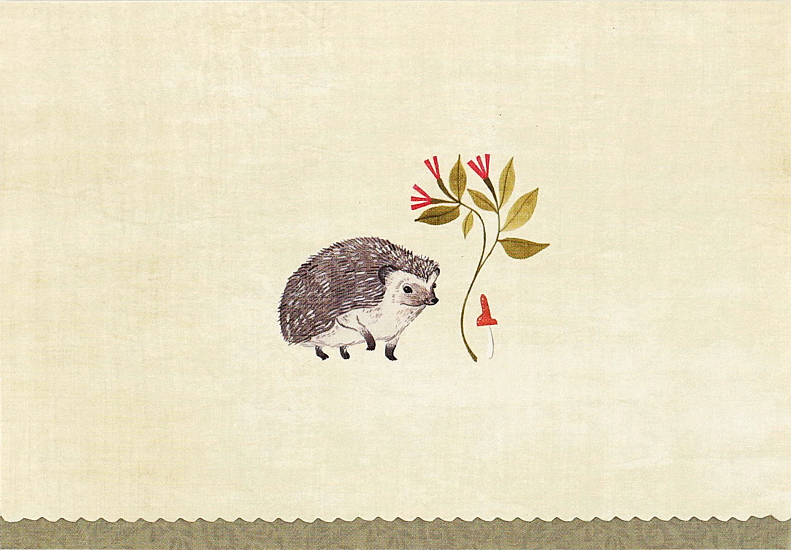 Note Card Set - Hedgehog