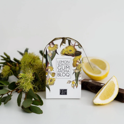Aroma Bloq - 10 different scents!