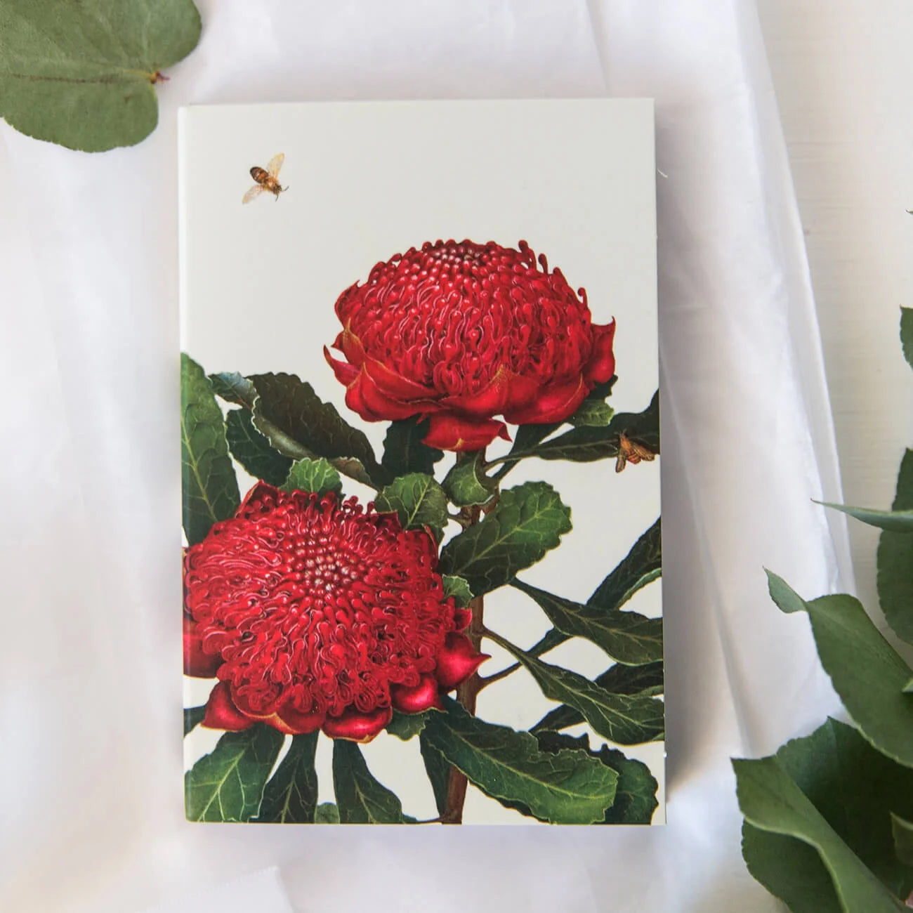 Australian Wildflower - Mini Notepad