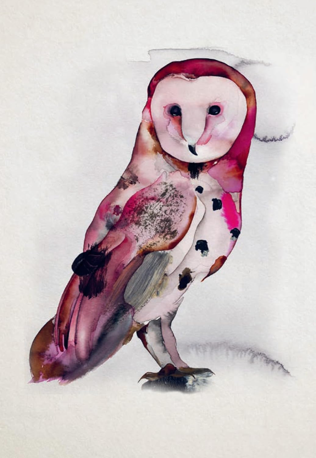 Bird Box - 100 Postcards 10 Artists