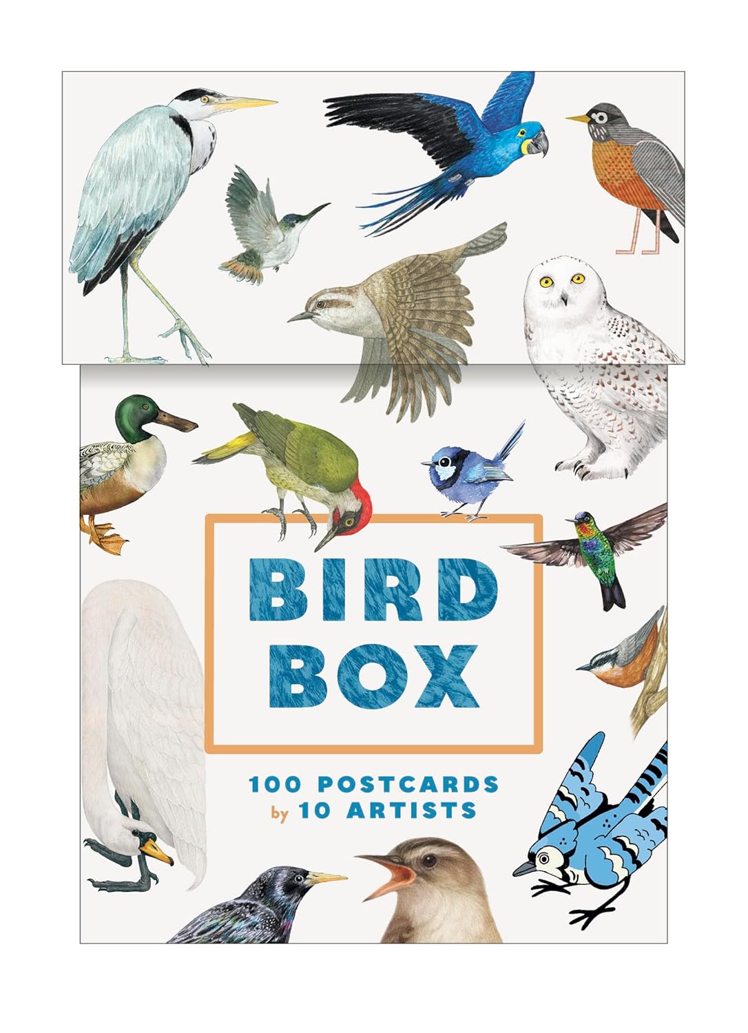 Bird Box - 100 Postcards 10 Artists