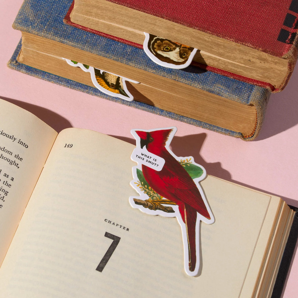Bookmarks - Magnetic Salty Birds Set 3