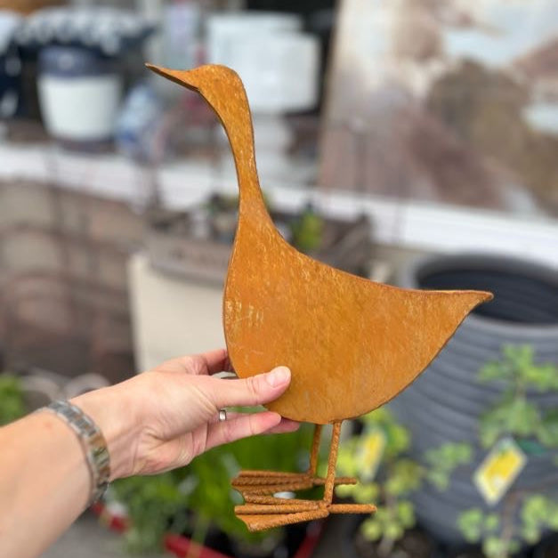 Rusty Ducks - garden ornaments