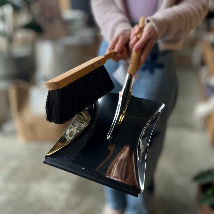 Dust Pan Brush
