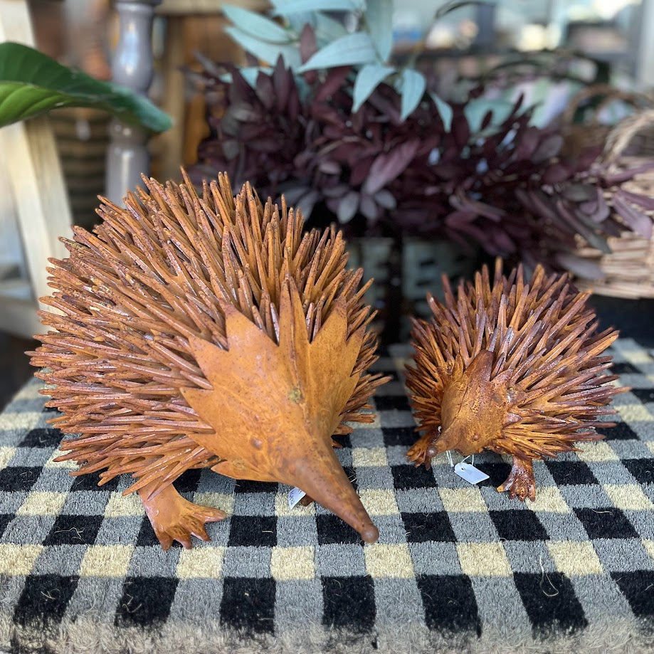 Echidna Rusty Large and Small