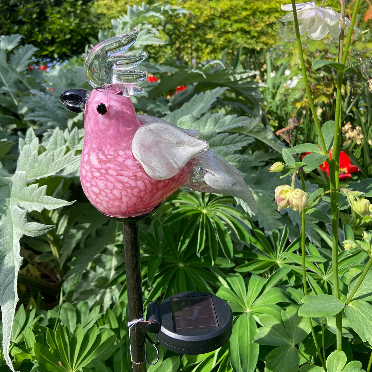 Solar Light - Galah