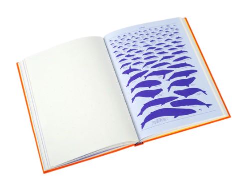 Journal - Grids and Guides Orange