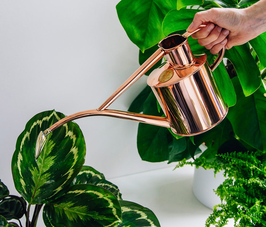 Copper Indoor Watering Can 1.0L