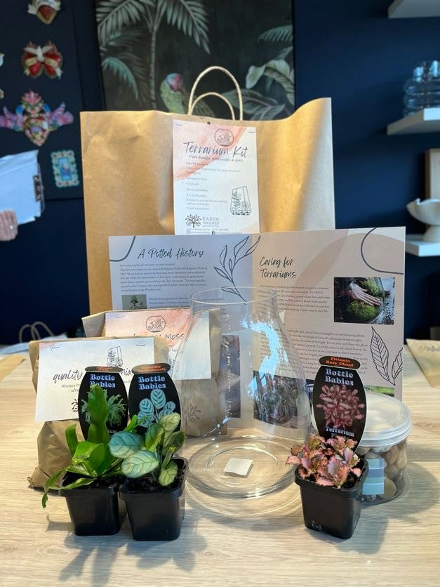 Terrarium Making Kit