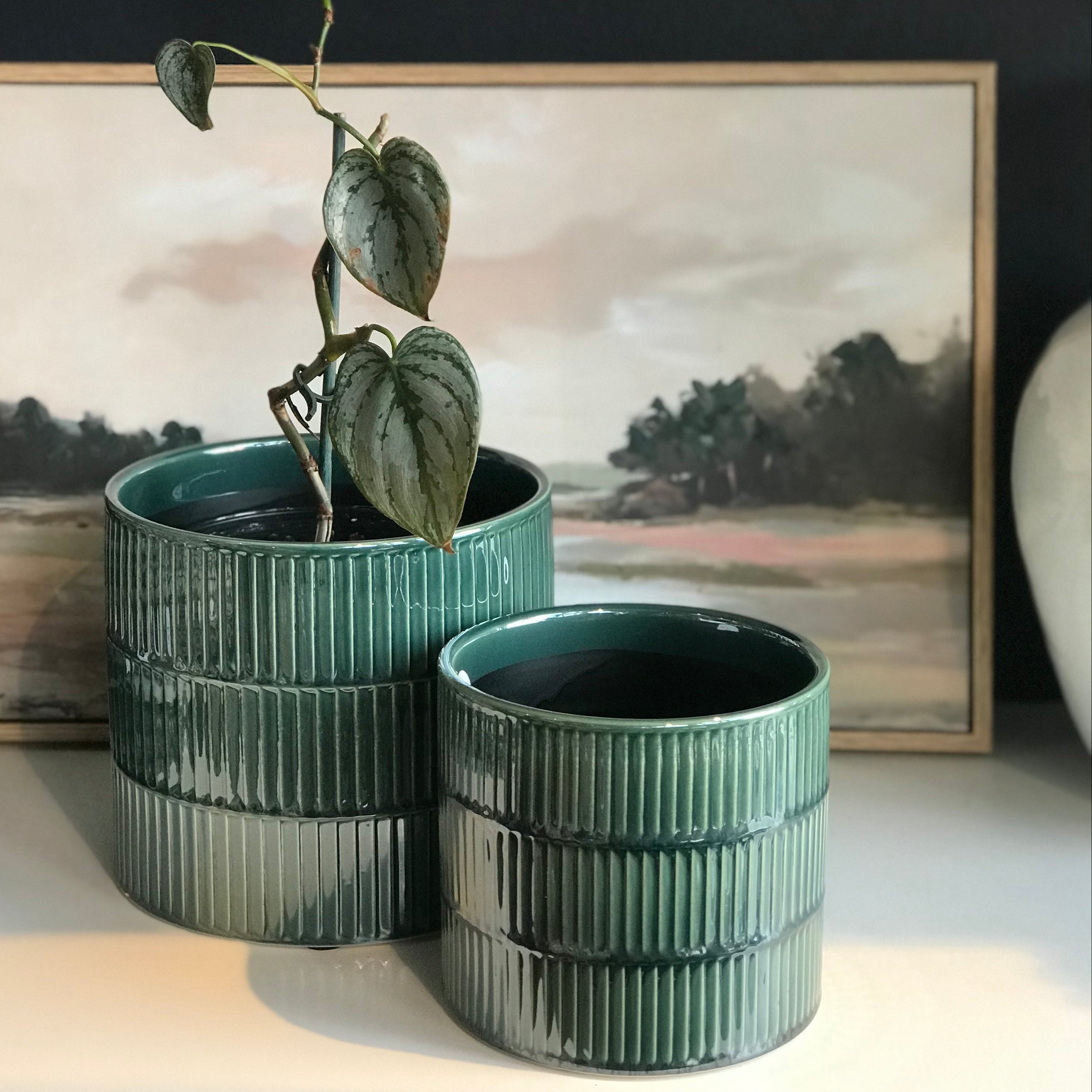 Pot with Ribbed Pattern Teal - Small & Medium