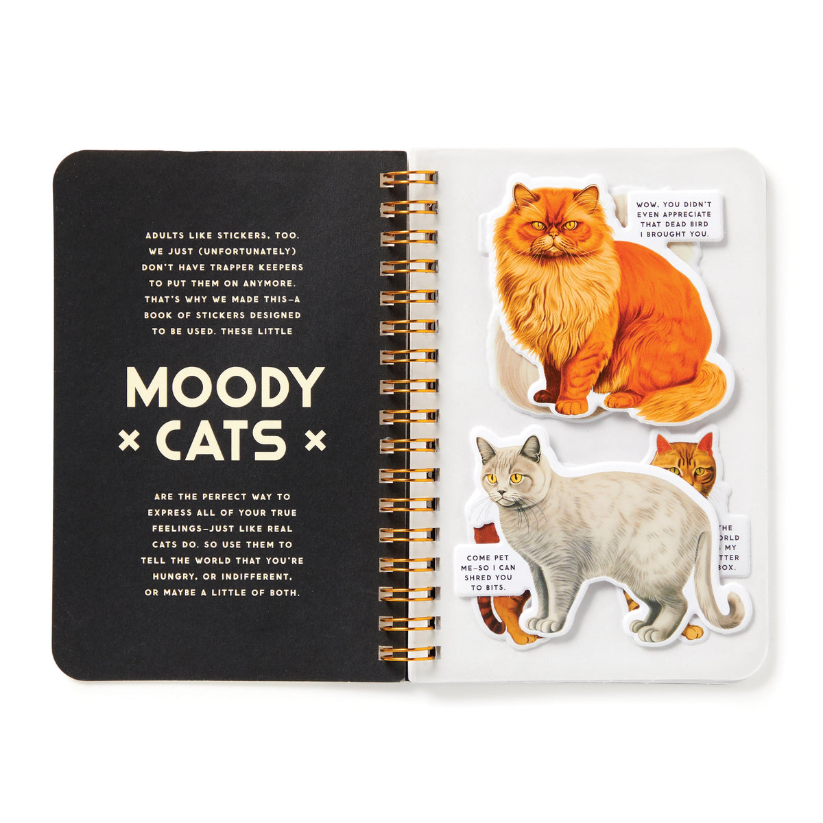 Sticker Book 'Moody Cats'