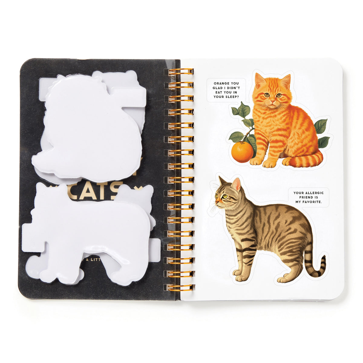 Sticker Book 'Moody Cats'