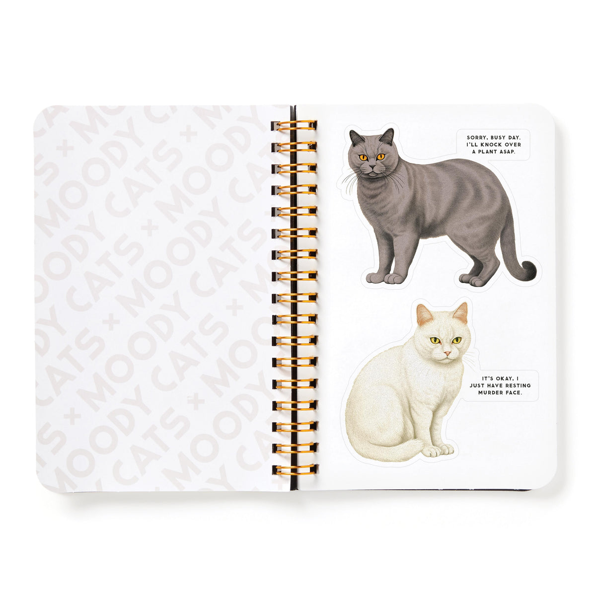 Sticker Book 'Moody Cats'