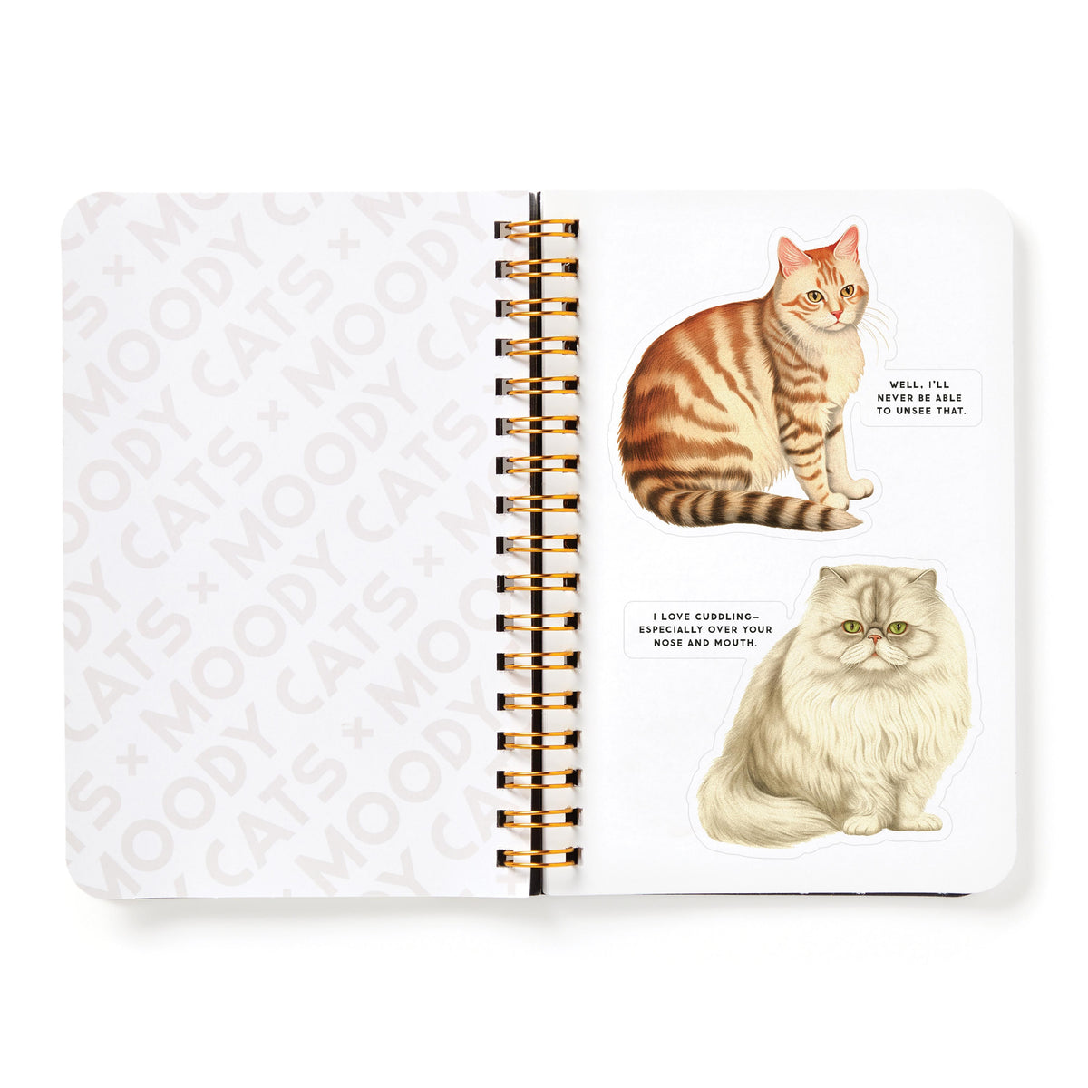 Sticker Book 'Moody Cats'