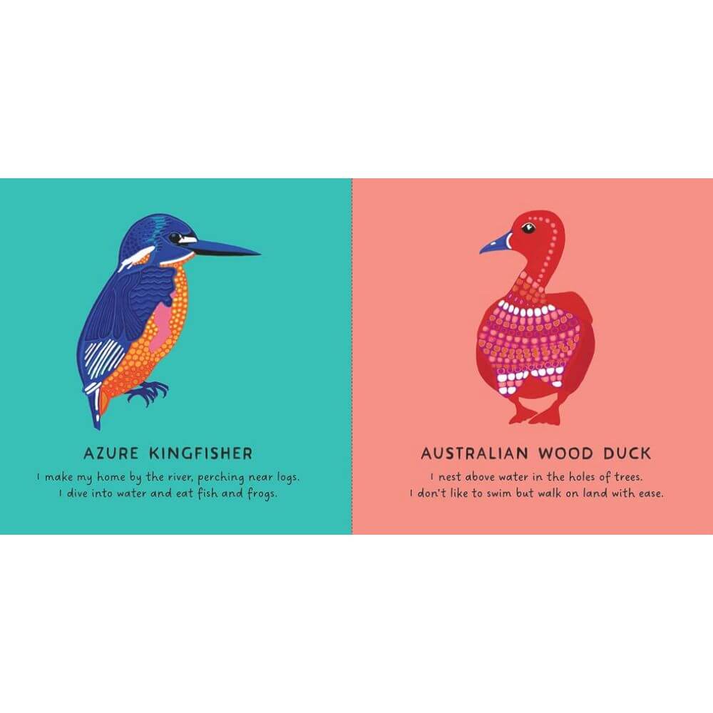 Book - Our Birds by Dr Bronwyn Bancroft