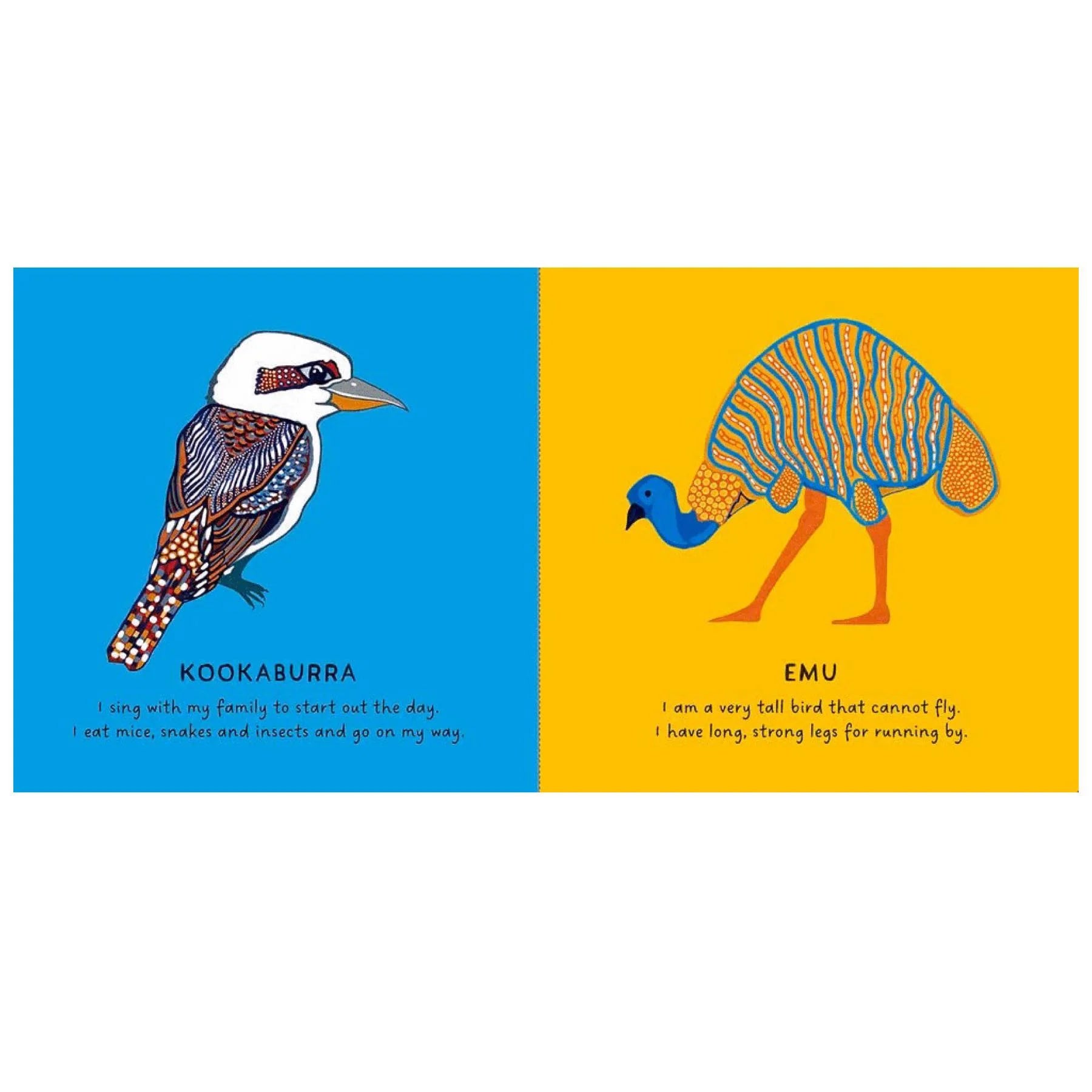 Book - Our Birds by Dr Bronwyn Bancroft