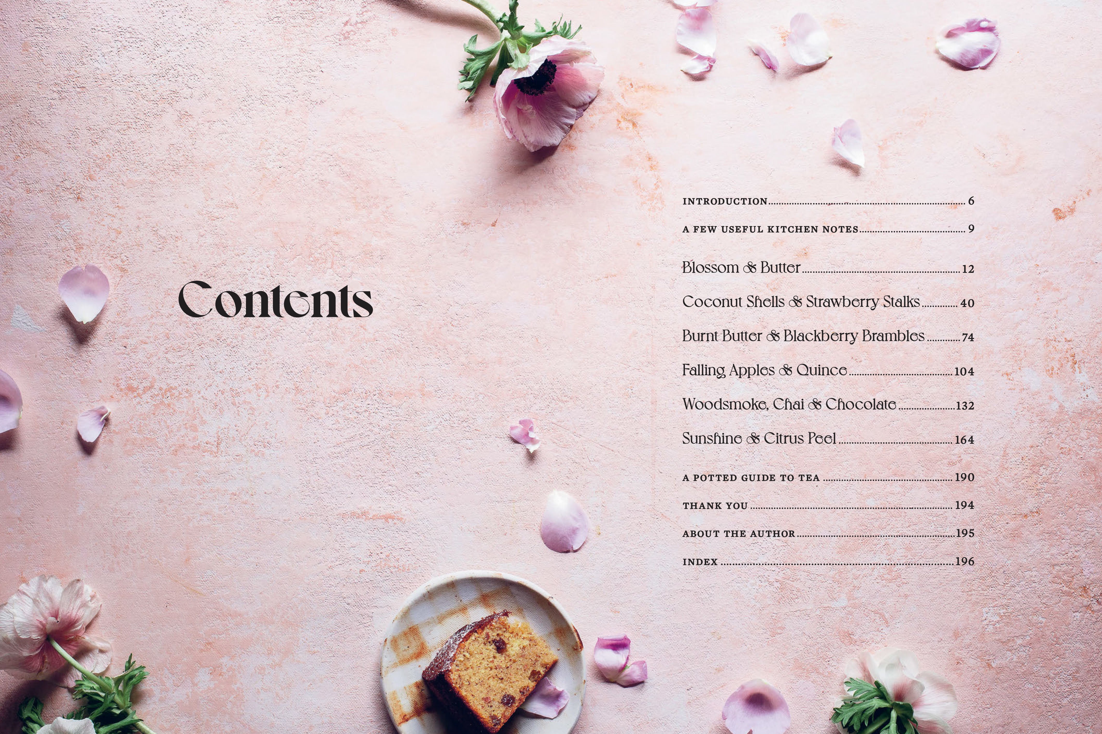 Book - The Plain Cake Appreciation Society
