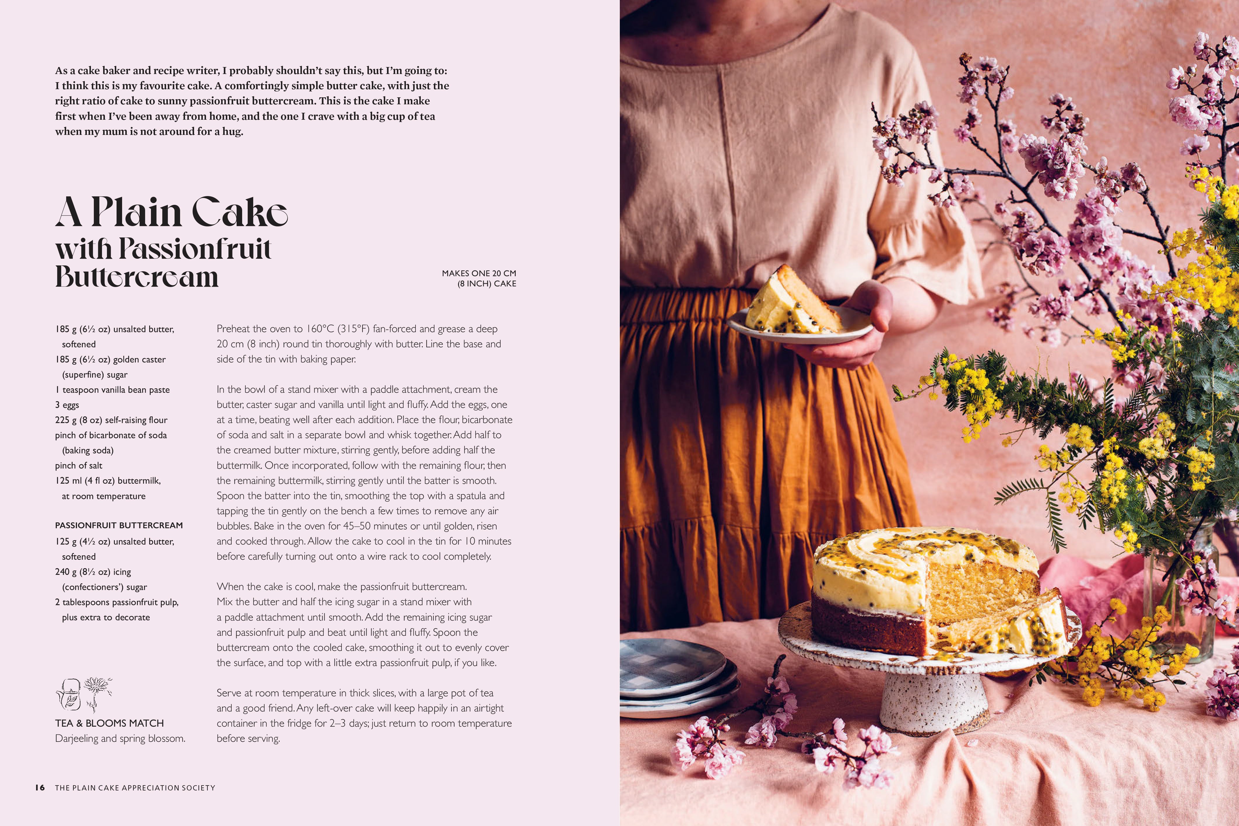 Book - The Plain Cake Appreciation Society