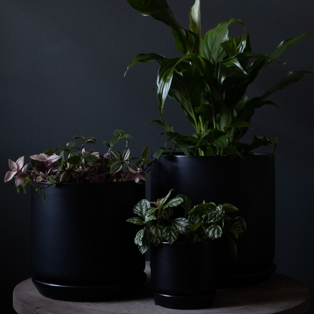 Planter - Wide Black Stoneware with Saucer