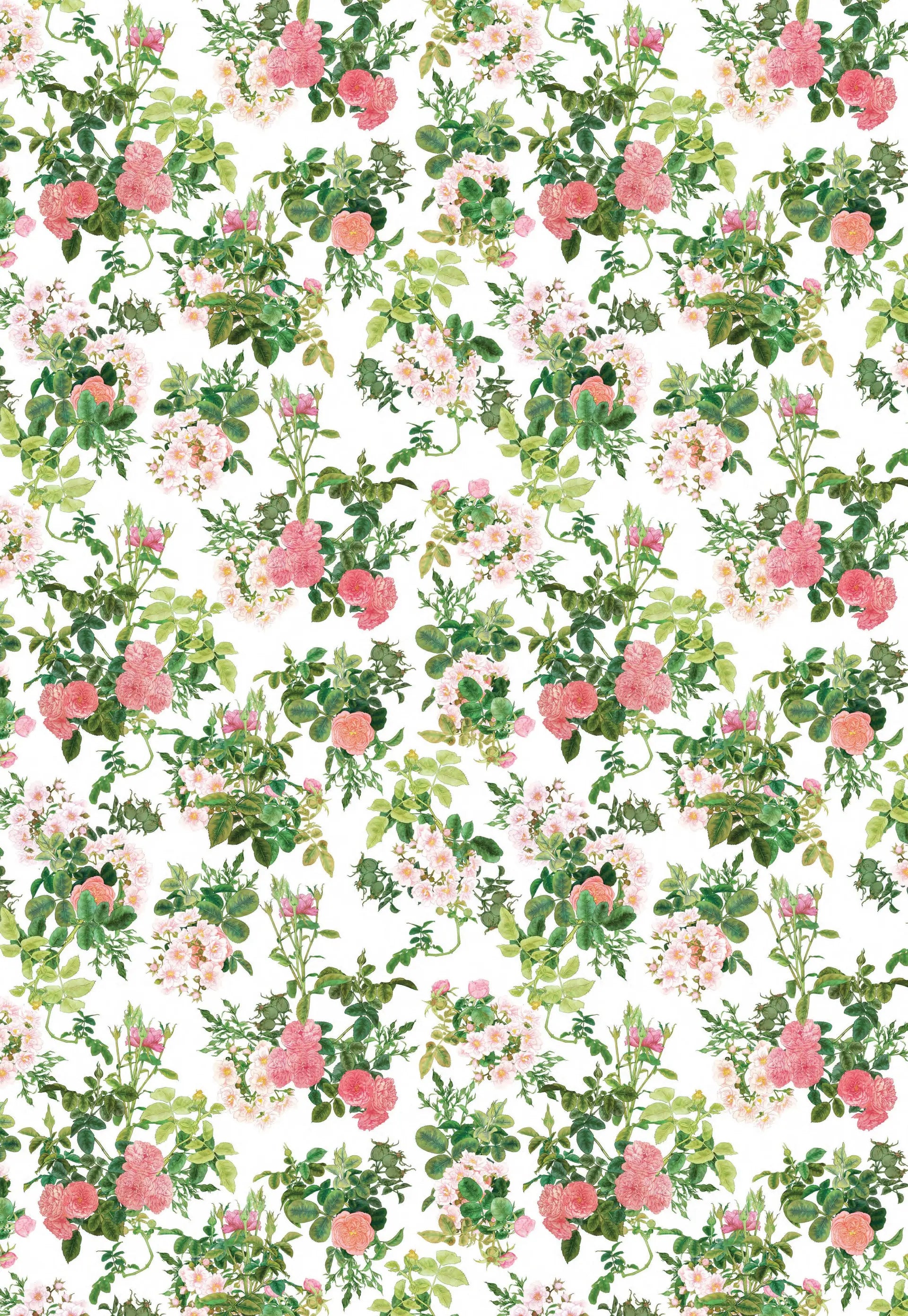 Wrapping Paper Book - Posy by Adriana Picker
