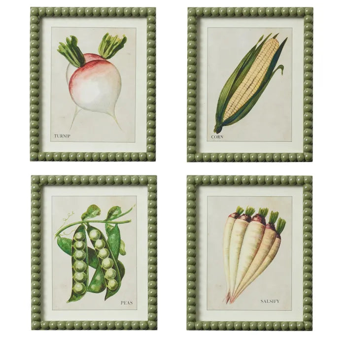 Prints - Vintage Vegetables