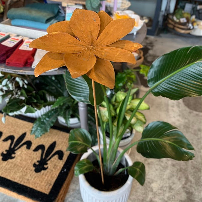 A decorative rusty flower with large tan-orange petals on a long stem, displayed in a white ribbed pot among green potted plants in a shop interior.
