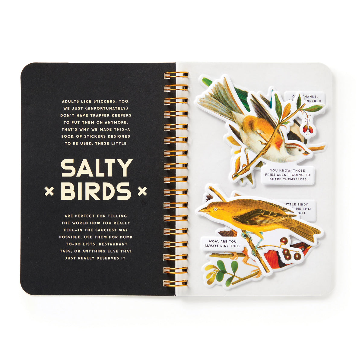 Sticker Book 'Salty Birds'