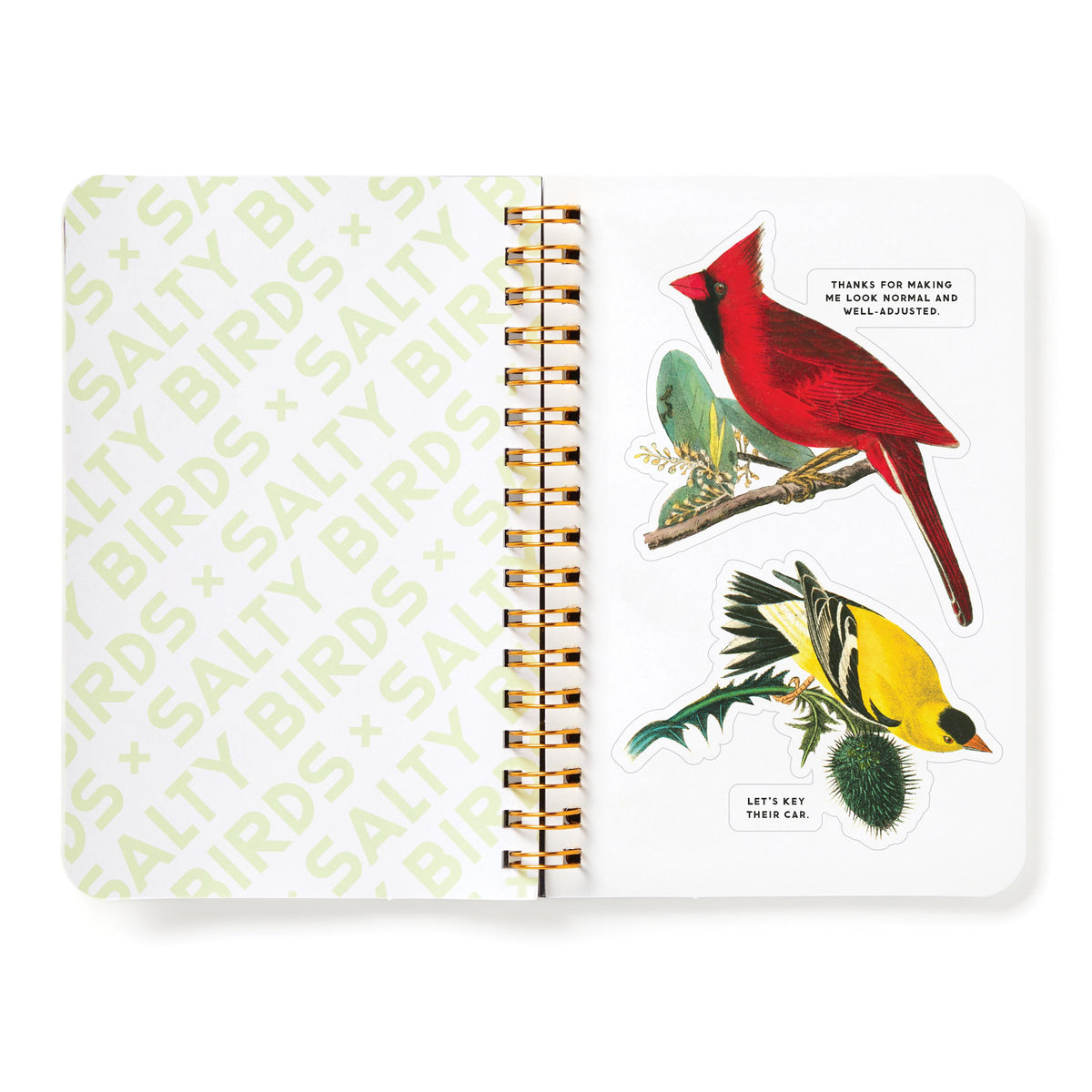 Sticker Book 'Salty Birds'