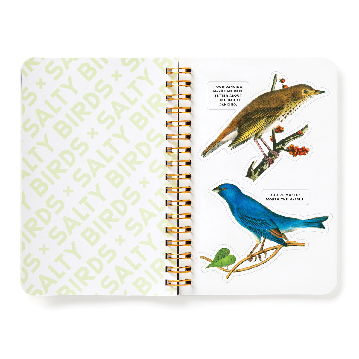 Sticker Book 'Salty Birds'