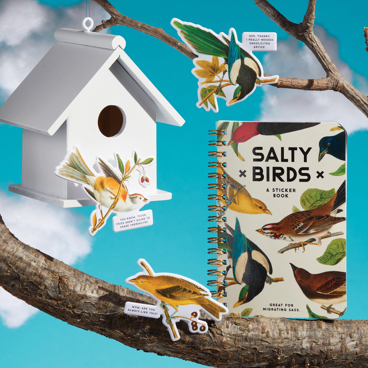 Sticker Book 'Salty Birds'