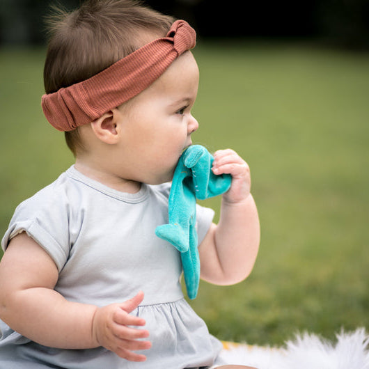 T-rex Scrunchie Toy