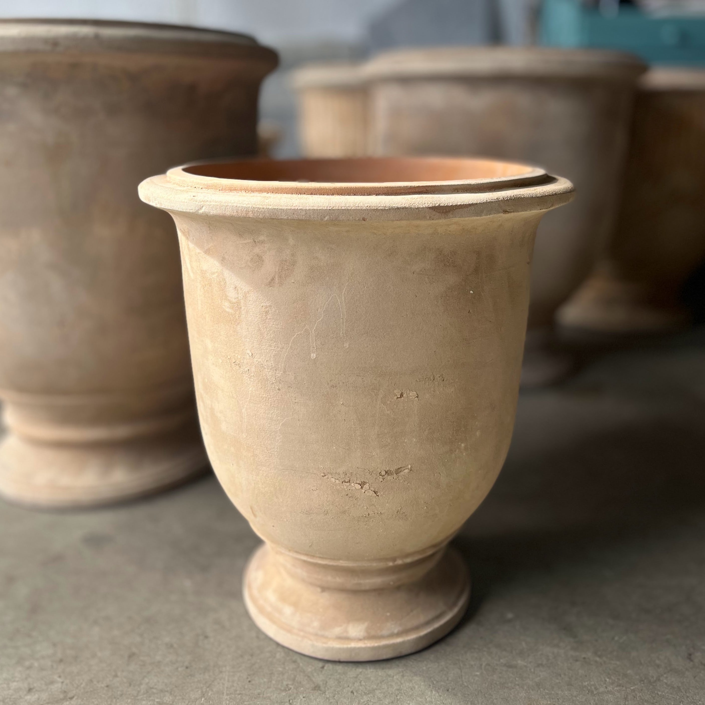 Antique Terracotta Tulip Pot - Available in 2 sizes