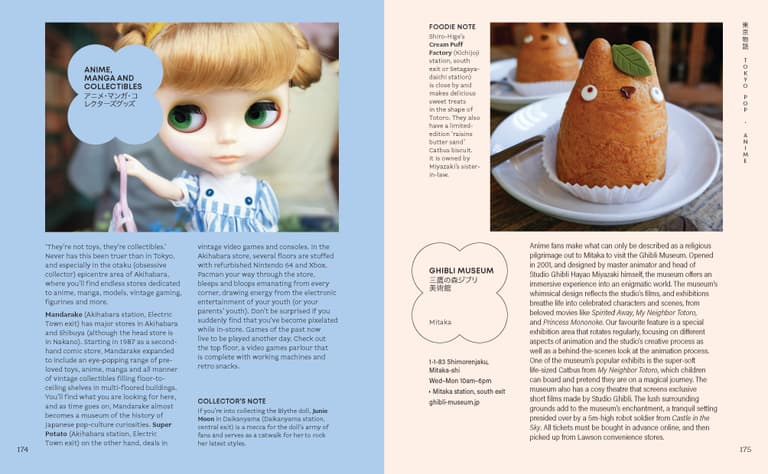Book - Tokyo Story a Guide