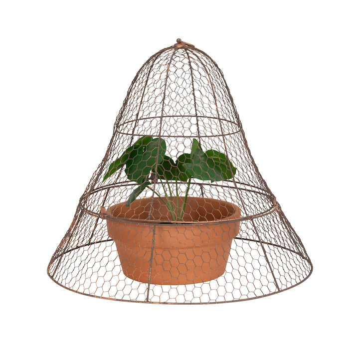 Rustic Wire Conical Dome Garden Cloche - PREORDER NOW