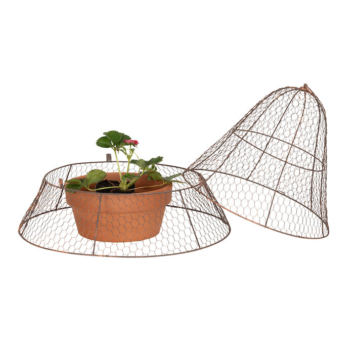 Rustic Wire Conical Dome Garden Cloche - PREORDER NOW