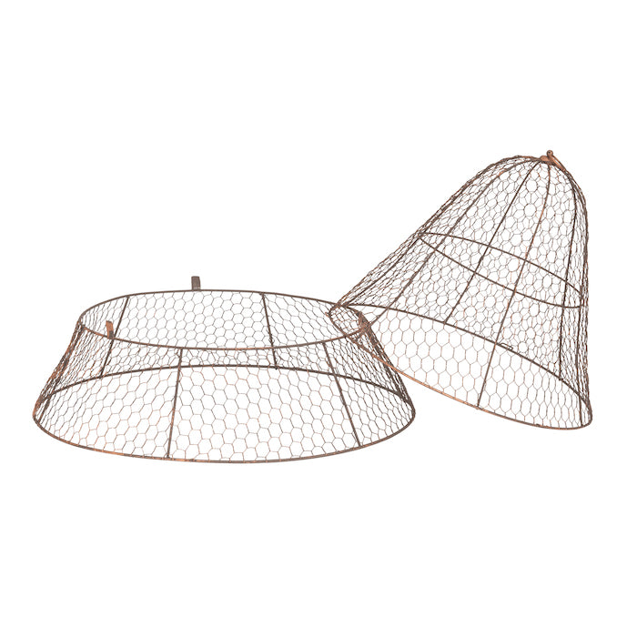 Rustic Wire Conical Dome Garden Cloche - PREORDER NOW