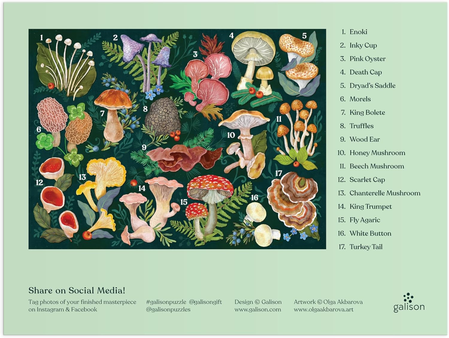 Puzzle - World of Mushrooms 1000 Piece