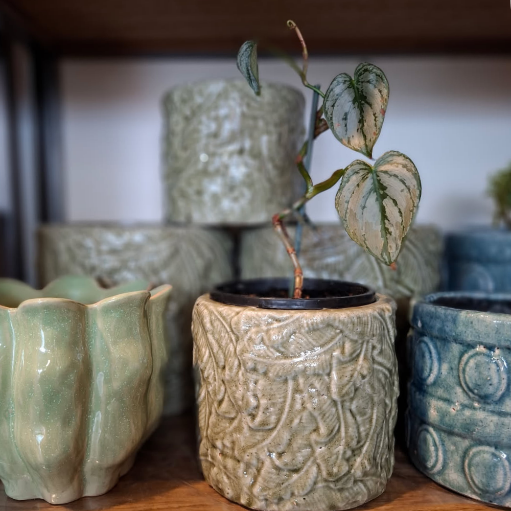 Botanical Pot - Sage Green - 2 sizes