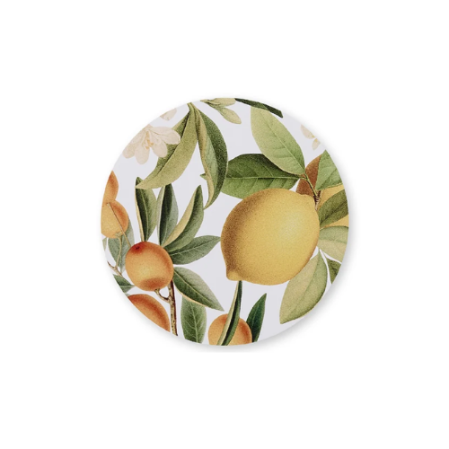 Coaster Set - Citrus Round