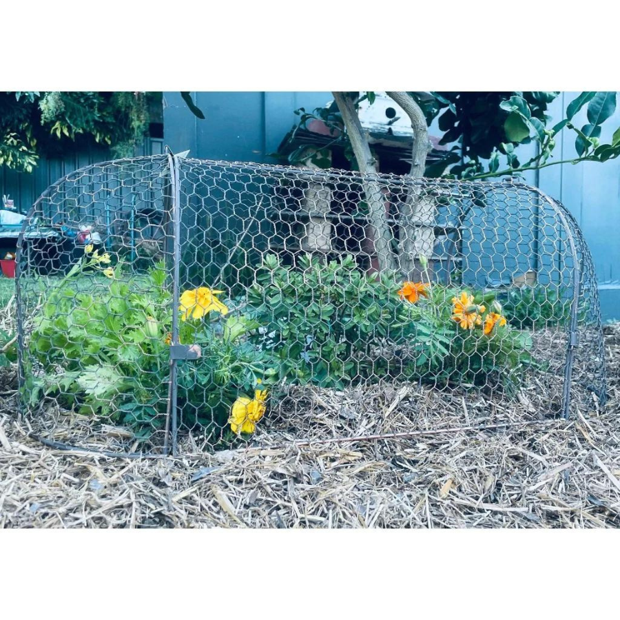 Rustic Wire Cloche Tunnel Set
