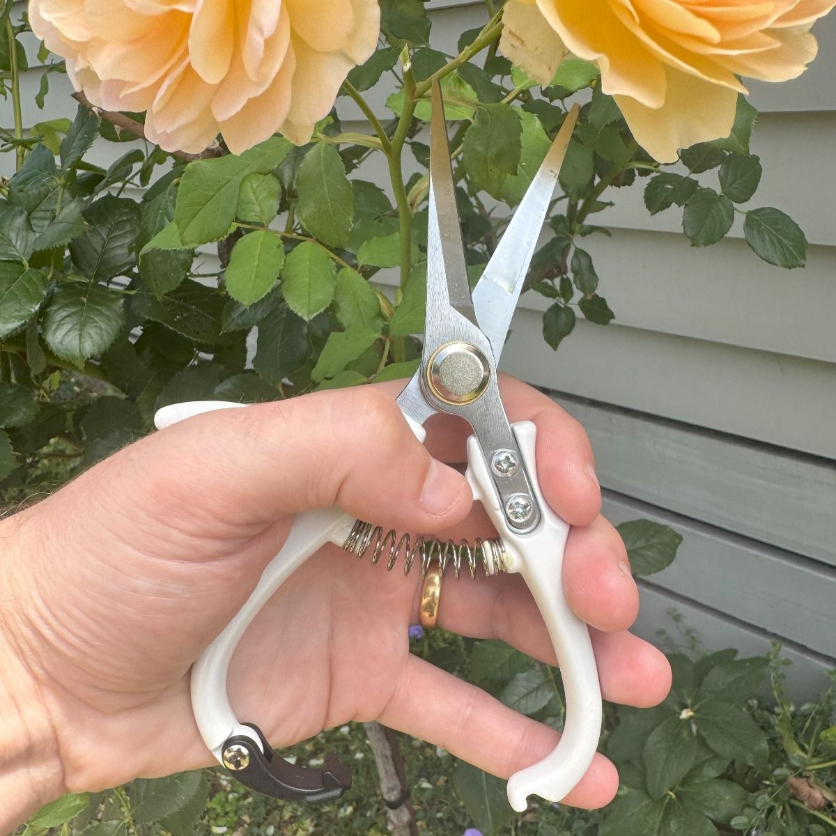 Garden Snips White