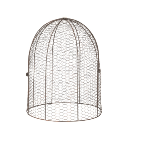 Rustic Wire Dome Garden Cloche - PREORDER NOW
