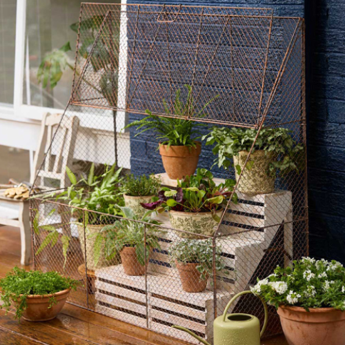 Rustic Wall Garden Cloche - PREORDER NOW