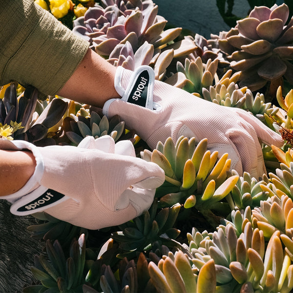 Garden Gloves - Goat Skin/Lycra - Sprout