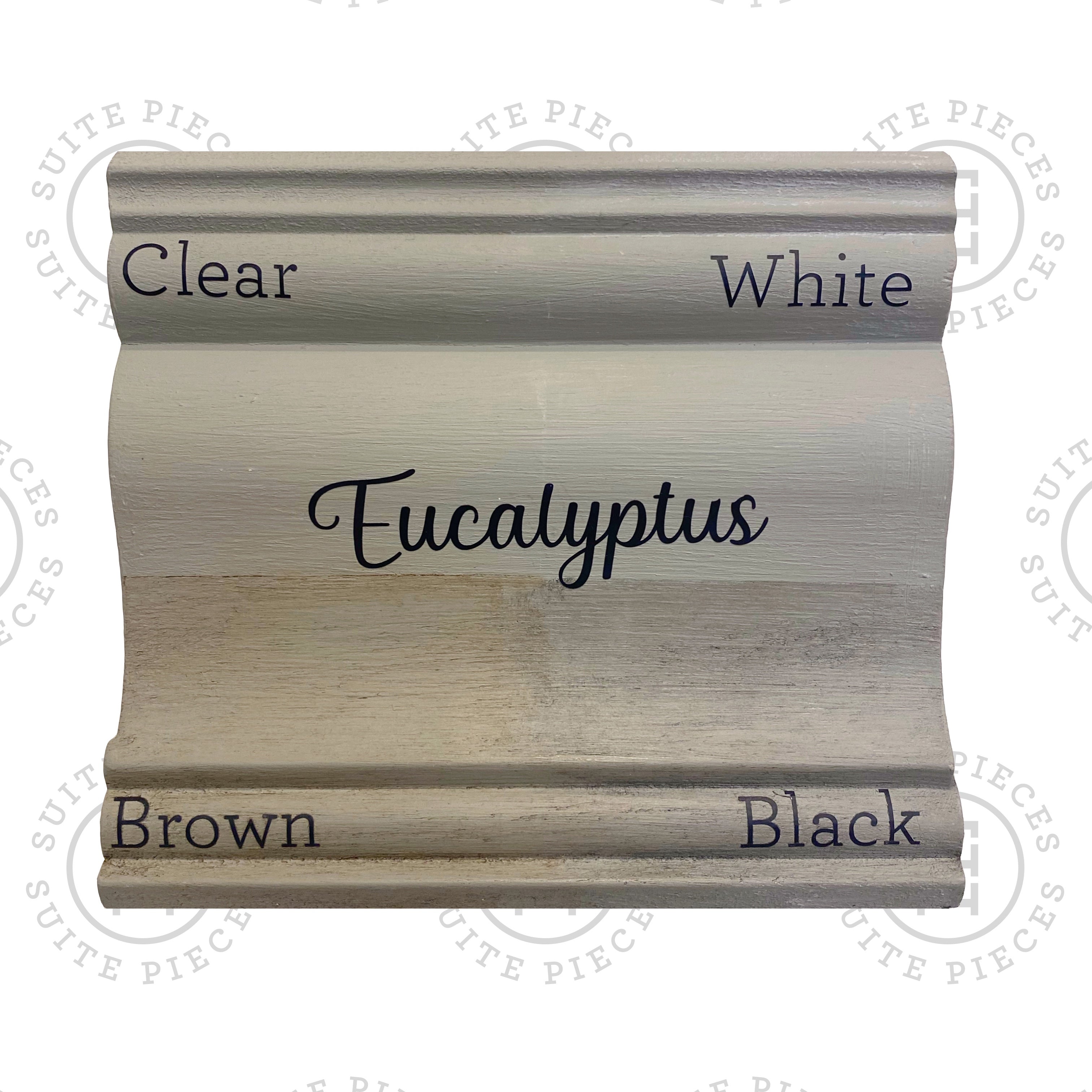 Jolie EUCALYPTUS Premium Paint