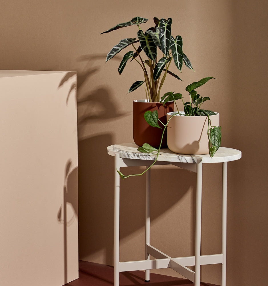 Flat Planter Pots - Indoor Porcelain Planter - in Nude and Mist