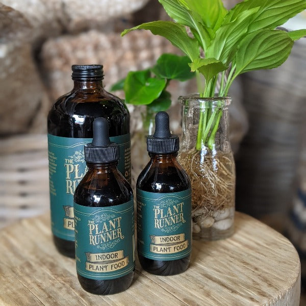 Indoor Plant Food- The Plant Runner