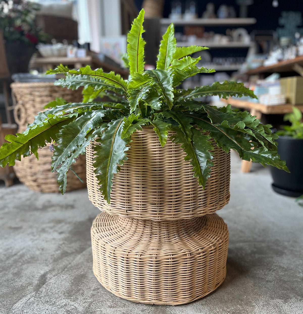 Rattan Natural Planter - Large