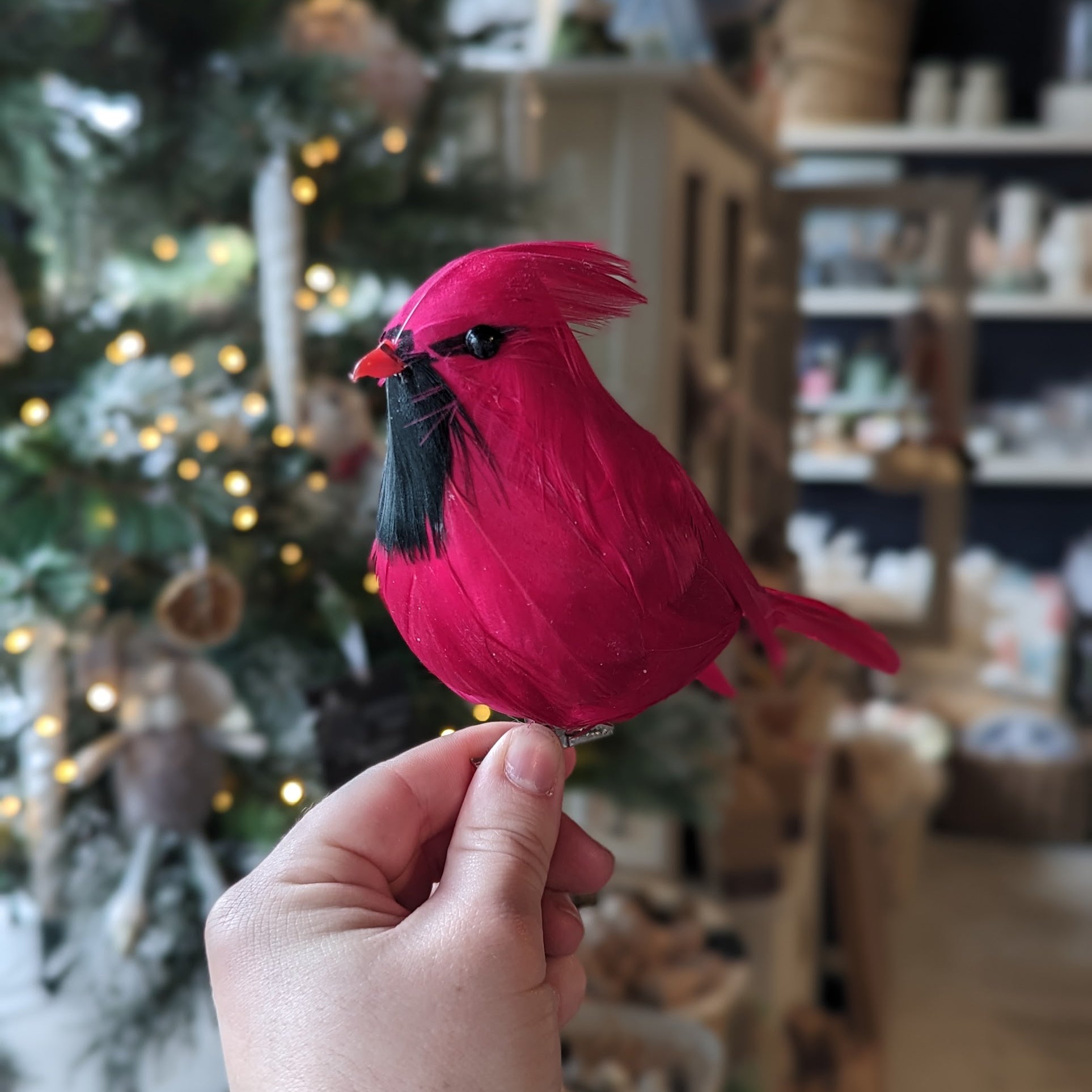 Scarlet bird decoration with clip